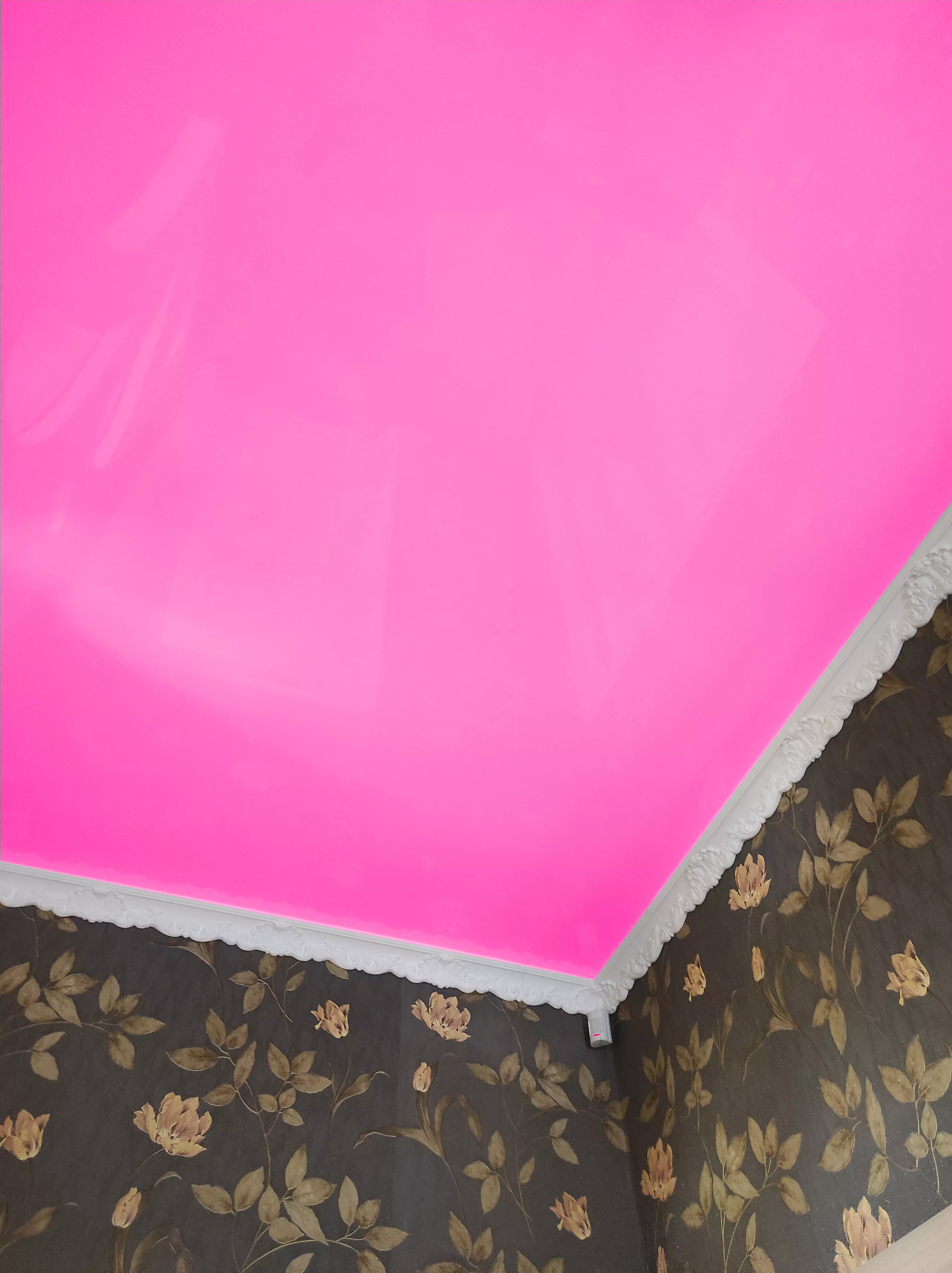 Череповец, Пионерская, 16, фото 2