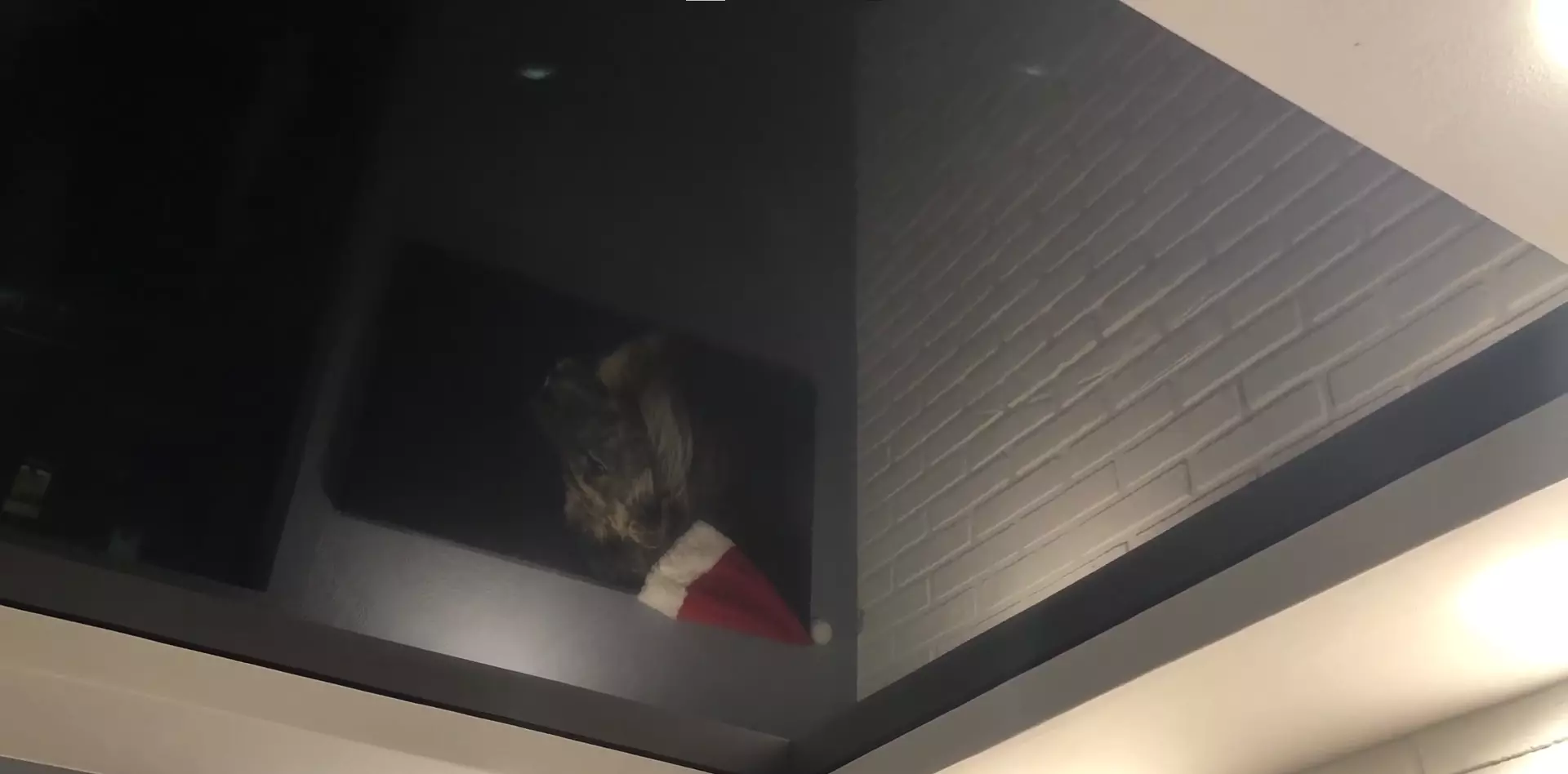 Саки, , фото 3